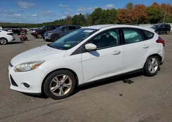 1FADP3K29EL232296: 68964073