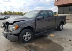 1FTEX1CM8EFC28225: 69382813