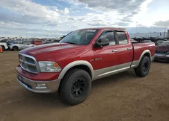 1D7RV1GTXAS152989: 70912003