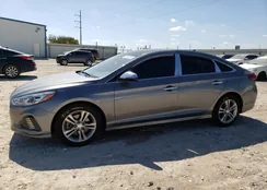 5NPE34AF2KH743501: 70577013