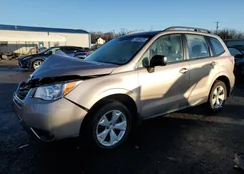 JF2SJABC5GH472677: 77058423