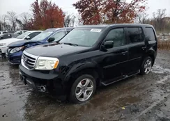 5FNYF4H50CB018724: 76976343