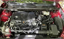 4T1C31AK3MU022434: 75589543