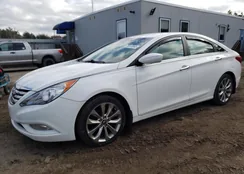 5NPEC4AC6DH779037: 75513993