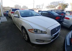 SAJWJ1CD7D8V49599: 75561953