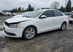 3VW637AJ3EM302269: 74936293