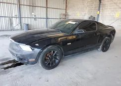 1ZVBP8AN0A5163388: 79716983