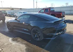 1FA6P8CF0F5368507: 81917693