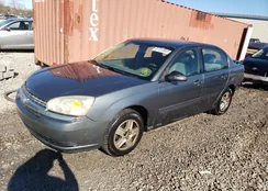 1G1ZT54885F230491: 81123553