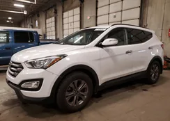 5XYZUDLB7GG306441: 81498043