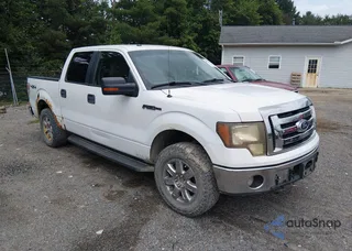 1FTFW1EV1AFD76191: 46074041