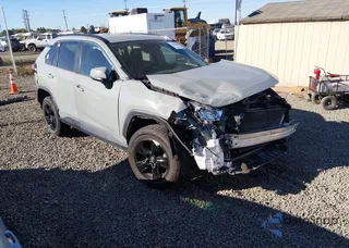2T3P1RFV8MW159966: 45683600