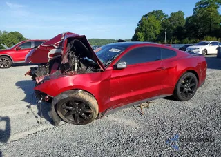 1FA6P8TH2K5117466: 65271006