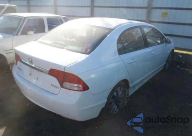 19XFA1F8XAE050844: 10362924