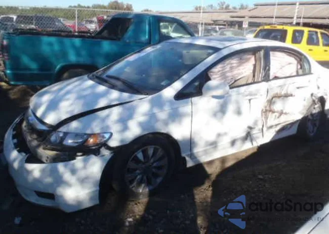 19XFA1F8XAE050844: 10362924