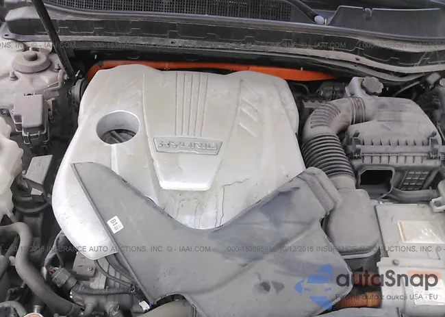 KNAGM4AD6D5046319: 18389591