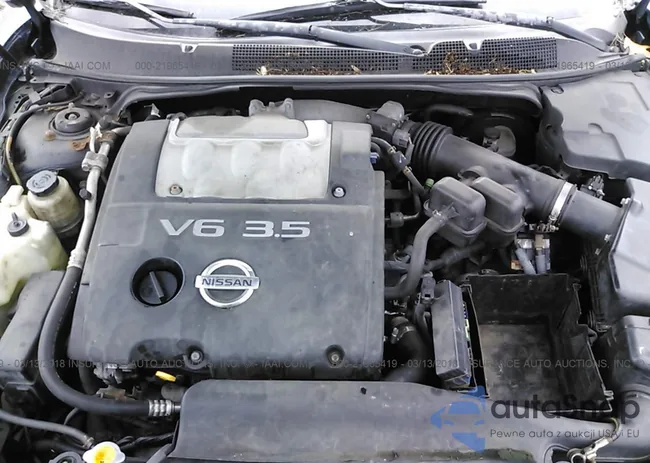 1N4BA41E67C862855: 21965419