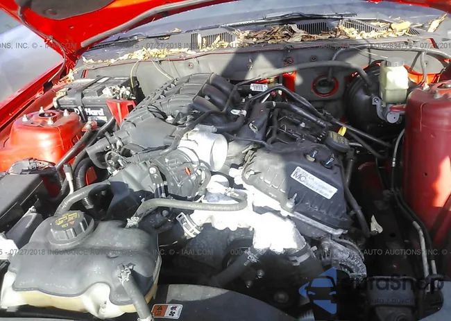 1ZVBP8AM1C5274641: 22834775