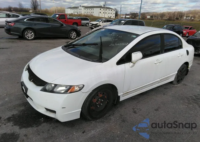 19XFA1F5XBE034697: 26565402