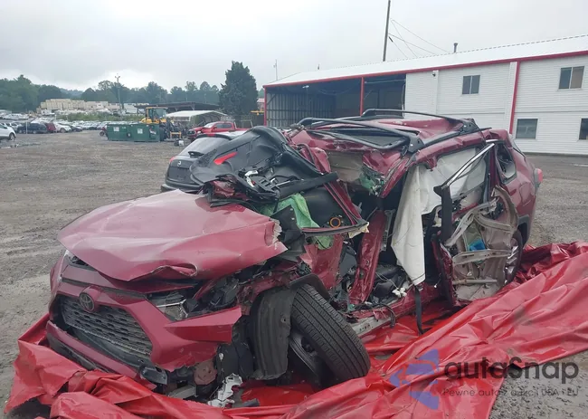 JTMN1RFV8KD036721: 30205463