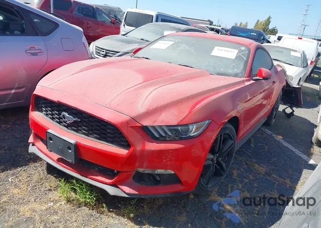 1FA6P8TH3G5203005: 31038833