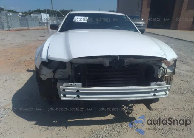 1ZVBP8AM5D5258847: 30589853