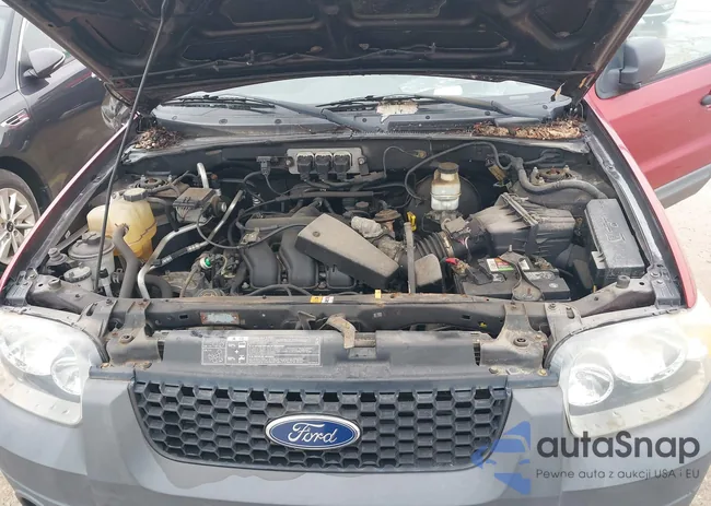 1FMYU93105KB94441: 32391455