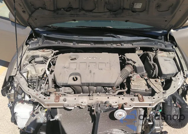 2T1BU4EEXAC392405: 32953209