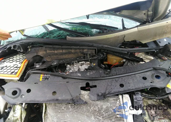 1G4GB5G31GF132094: 32616438