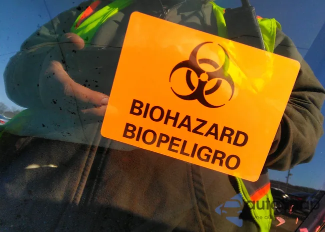 WDDHF7HB7AA117527: 35268464