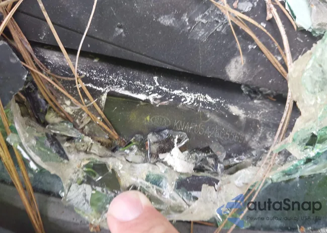 KNAFU5A26C5569855: 35481658