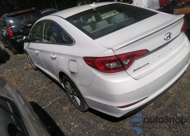 5NPE24AF4HH566171: 35973644