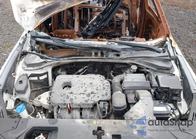 5NMS5CAD3KH054098: 36305958