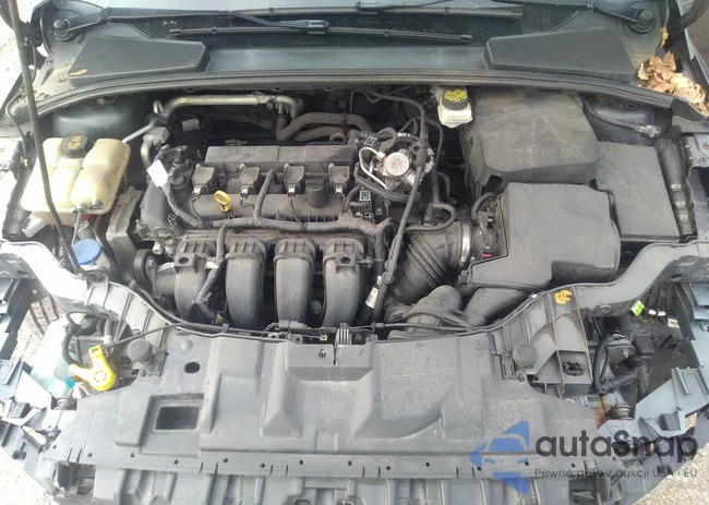 1FADP3H2XHL224624: 37067652