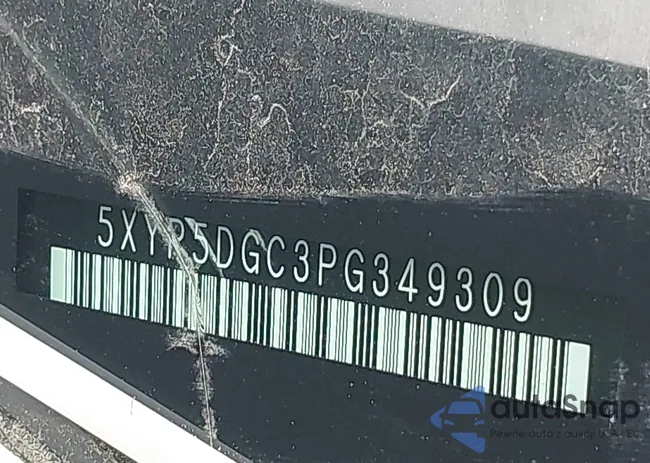 5XYP5DGC3PG349309: 37246569