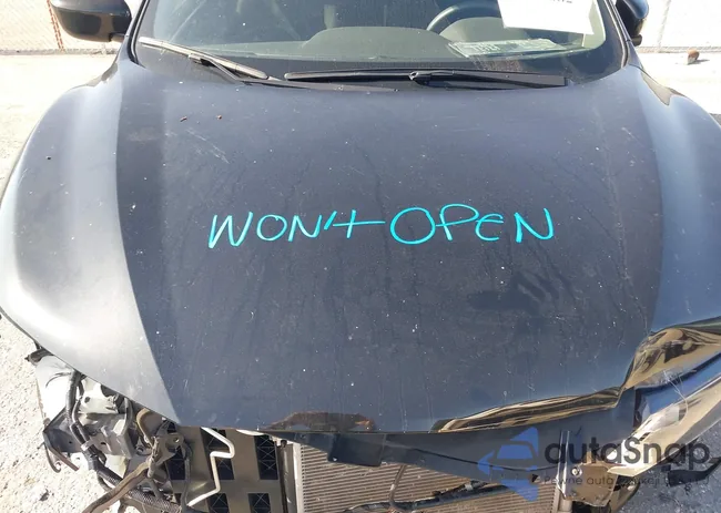 JN1BJ1CV5LW551466: 37285082