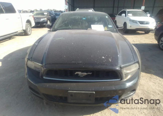 1ZVBP8AMXE5204543: 37322860