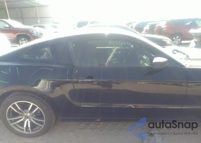 1ZVBP8AMXE5204543: 37322860