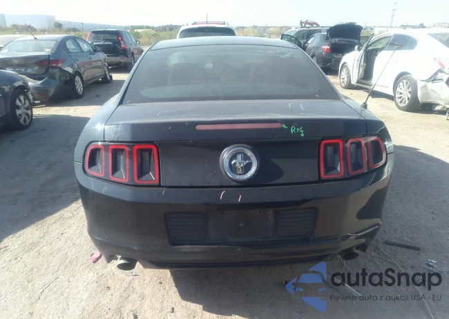 1ZVBP8AMXE5204543: 37322860