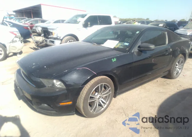 1ZVBP8AMXE5204543: 37322860