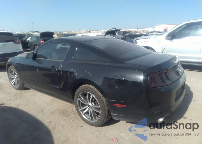 1ZVBP8AMXE5204543: 37322860