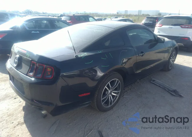 1ZVBP8AMXE5204543: 37322860