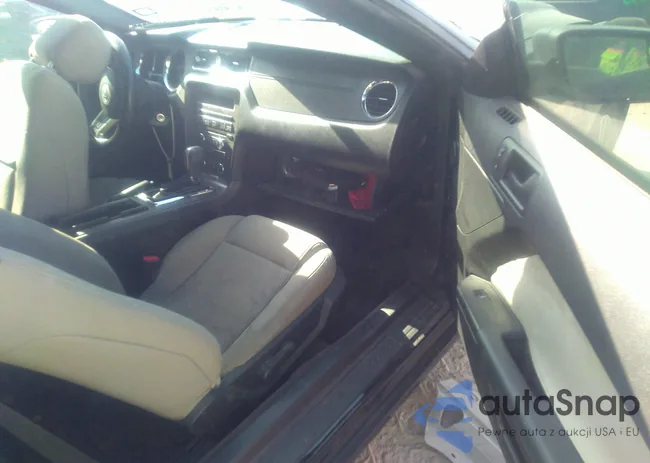 1ZVBP8AMXE5204543: 37322860