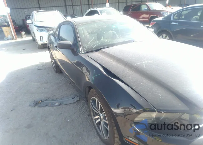 1ZVBP8AMXE5204543: 37322860