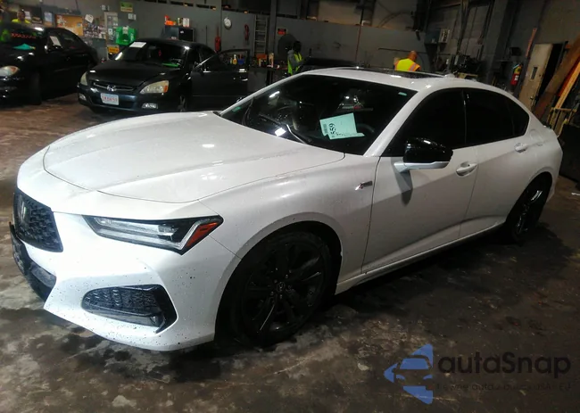 19UUB6F59MA006172: 37334559