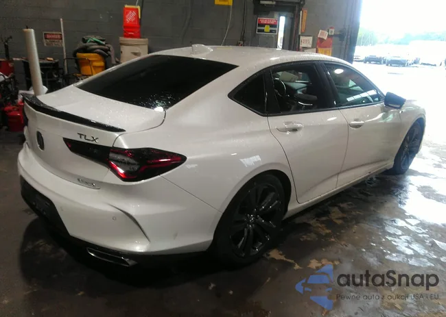 19UUB6F59MA006172: 37334559