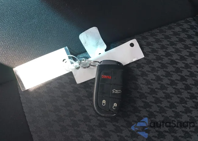 2C3CDXGJ5LH219503: 37479531