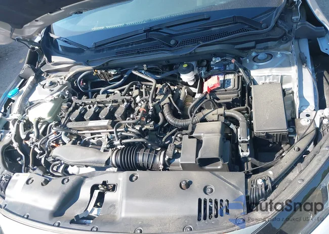 19XFC1F31LE009911: 37502782