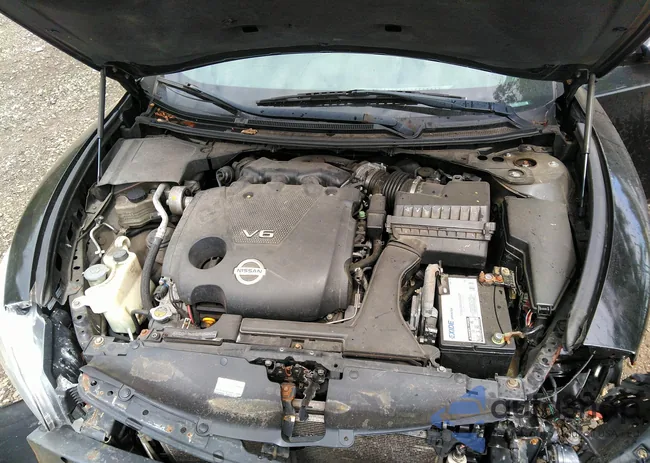 1N4AA5AP3EC491671: 36718152