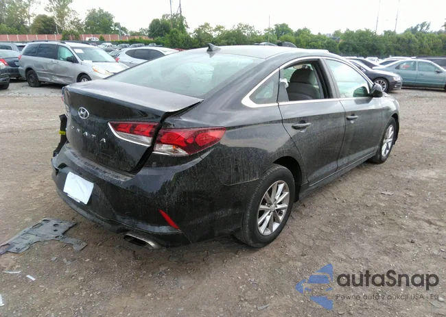 5NPE24AF7KH793359: 36819818